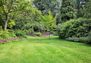 Optimiser l'expérience du jardin à Saint-Firmin-des-Bois